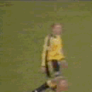 arbitre